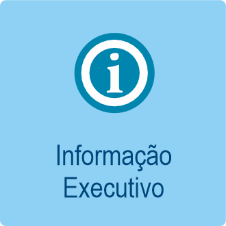 Informação Executivo