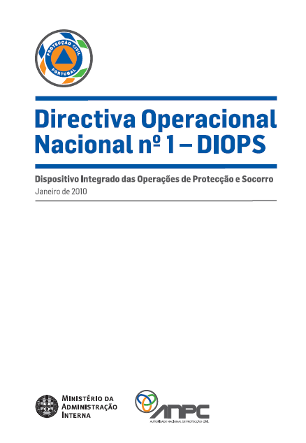 diretiva 1