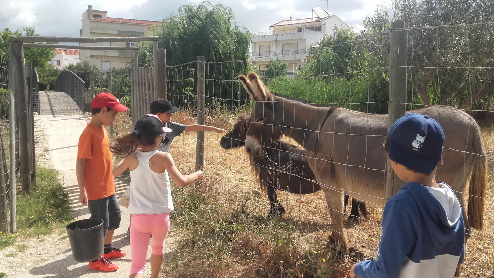 quinta-pedagogica-de-portimao1