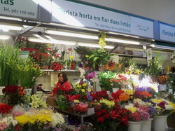 Florista horta em flor duas irmãs