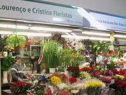 Lourenço e Cristina Floristas